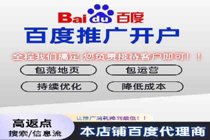 案例对比：不同竞价推广策略的优劣分析